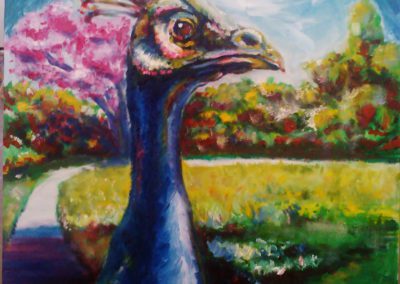 Oil Painting: Peacock from Arboretum